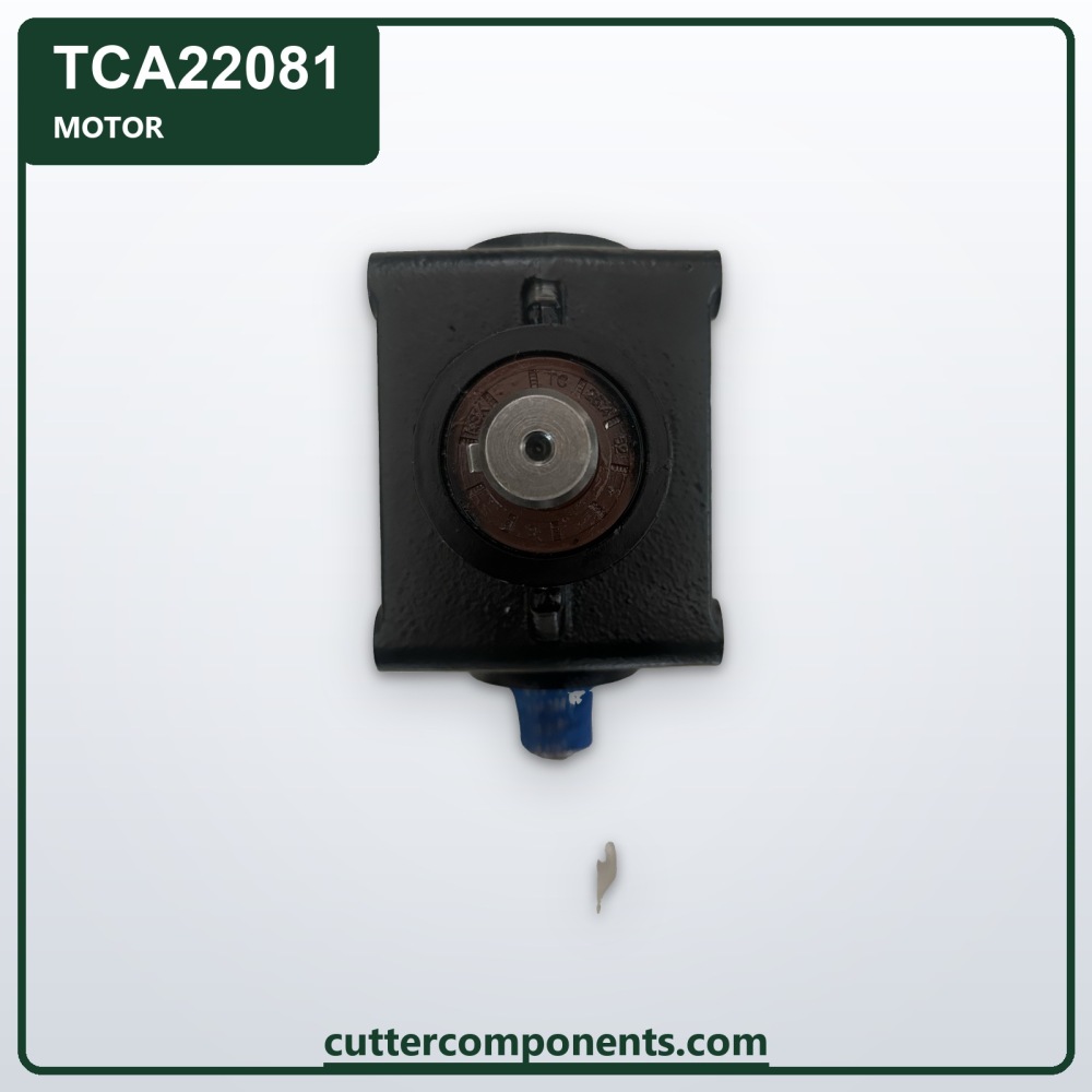 C-TCA22081