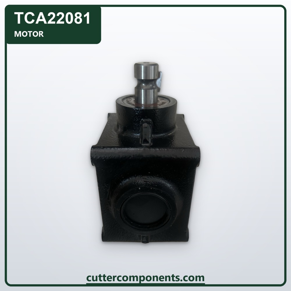 C-TCA22081
