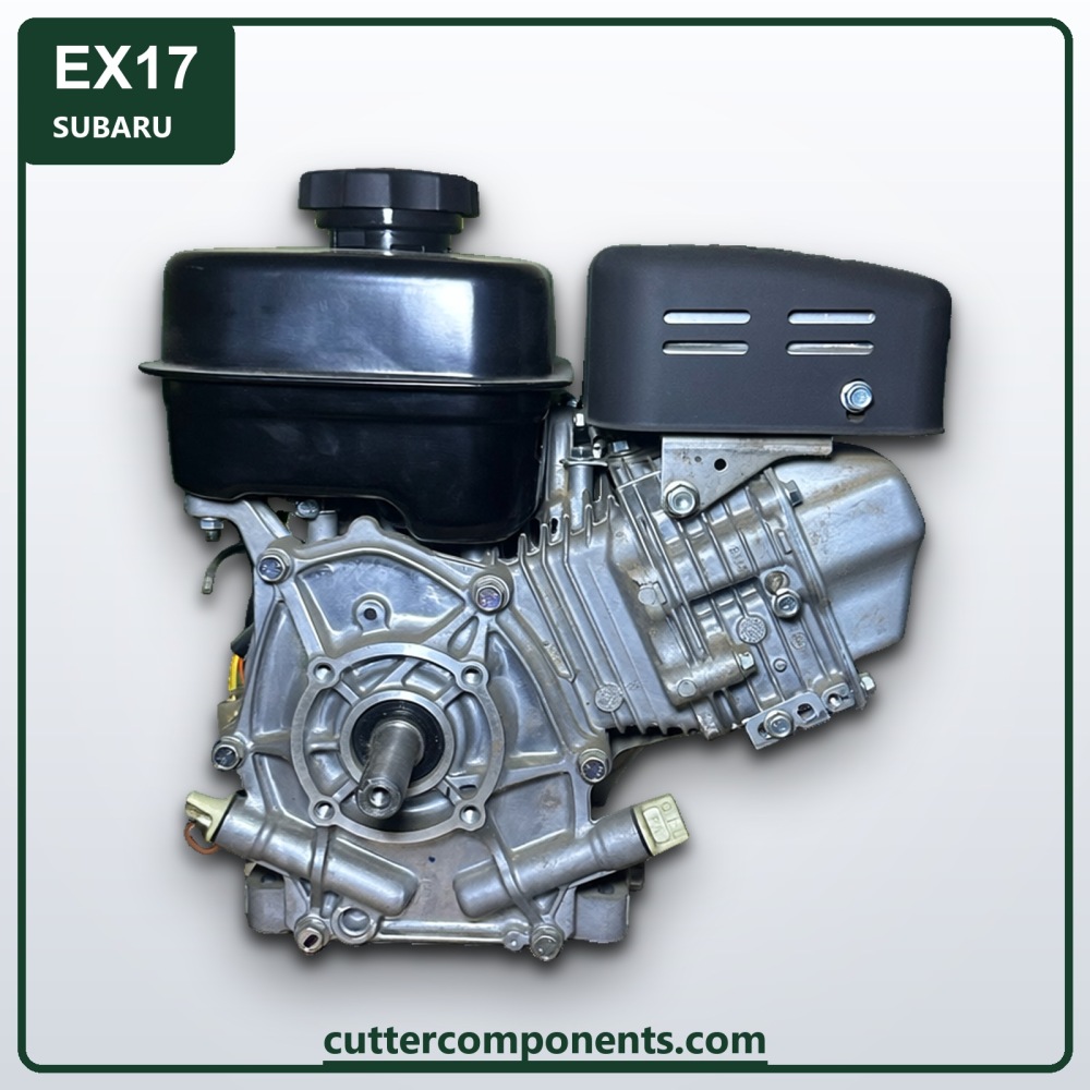 C-EX17