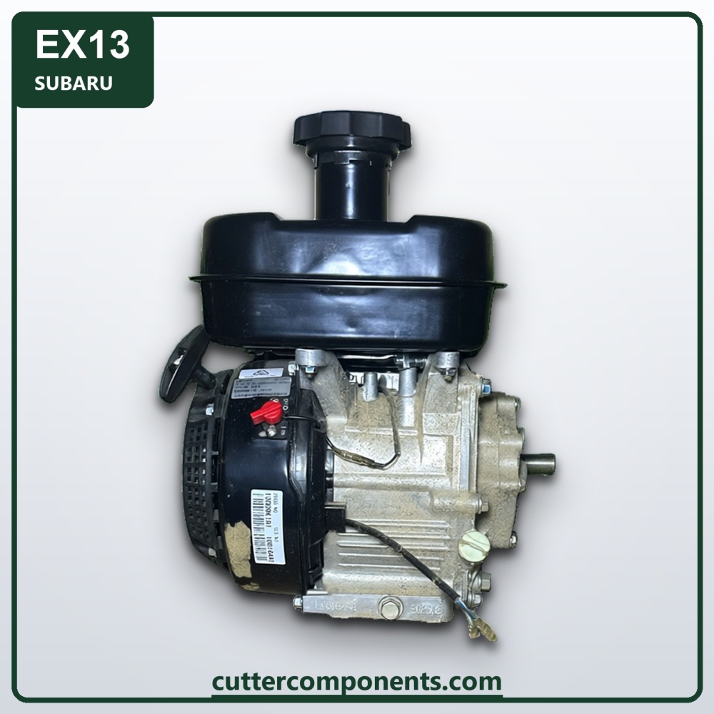 C-EX13