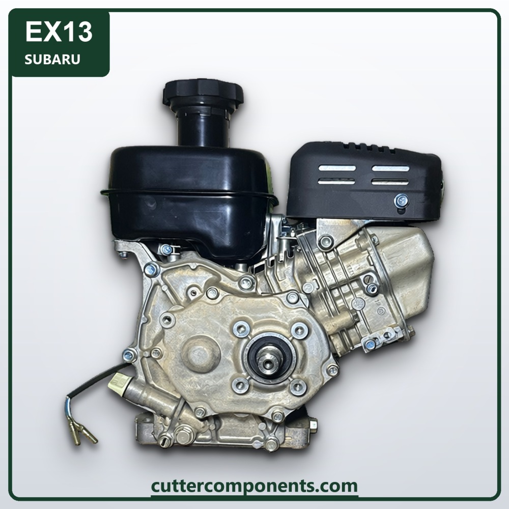 C-EX13