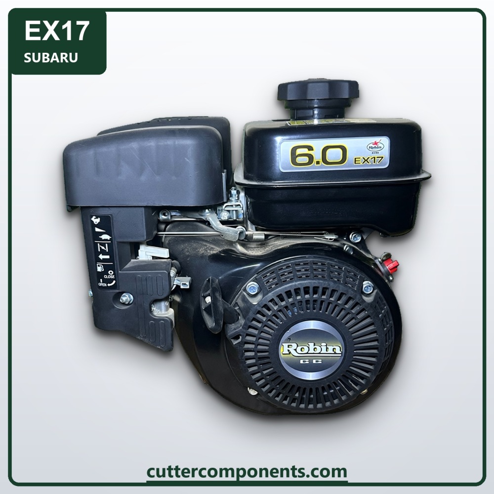 C-EX17