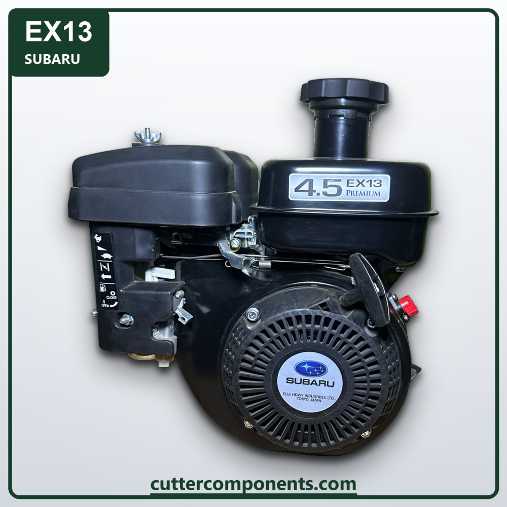 C-EX13