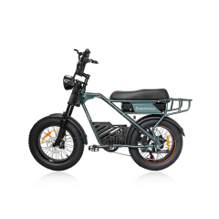Электрический фэтбайк Greennovo ESM-V001: гибкие поездки, начните новый опыт велоспорта.