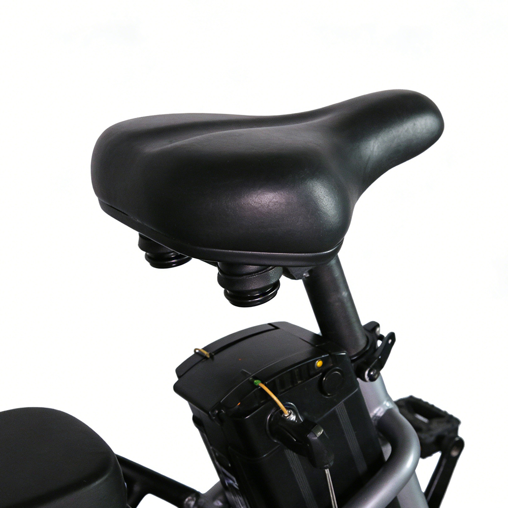 Vélo électrique pliant Greennovo EFD-B002, grande autonomie 55 km, livraison rapide