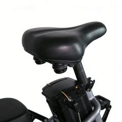 Электрический велосипед Greennovo EFD-B002 с большим запасом хода (55 км), складной электровелосипед, быстрая доставка.