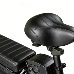 Greennovo ESM-V001 Electric bicycle urban commuting fat bike UL Certificate