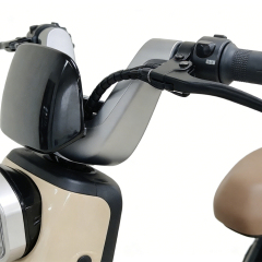 Электрический двухколесный электросамокат Greennovo ETW-F006 Factory с двигателем 500 Вт для города, подходит для взрослых.