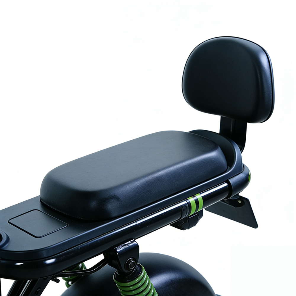 Greennovo ETW-F004 Bicicleta eléctrica de dos ruedas 450W con pedales, scooter eléctrico/motocicleta eléctrica