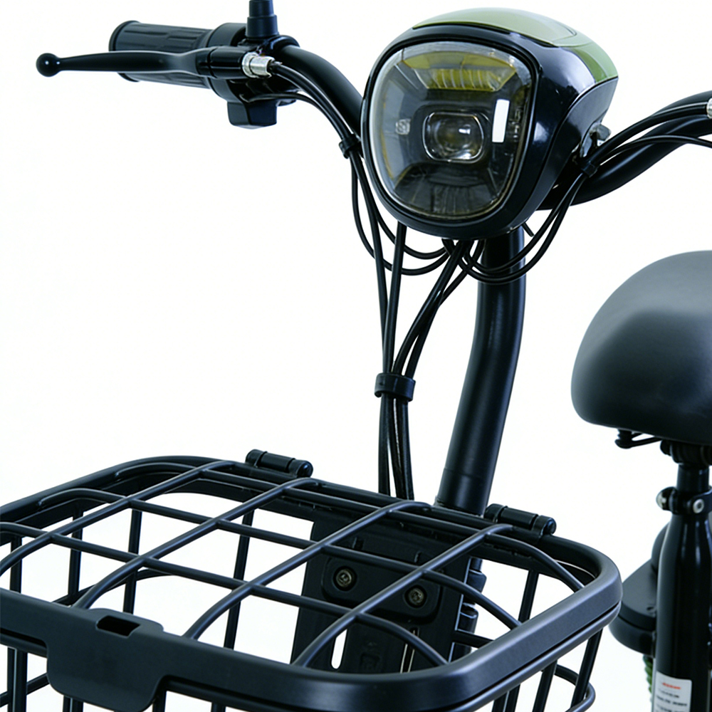 Greennovo ETW-F004 Bicicleta eléctrica de dos ruedas 450W con pedales, scooter eléctrico/motocicleta eléctrica