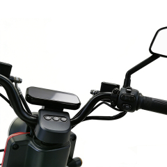 Электрический двухколесный велосипед Greennovo ETW-F009, заводской поставщик, 600 Вт, двухколесный электровелосипед/электроскутер с педалями, электромотоцикл