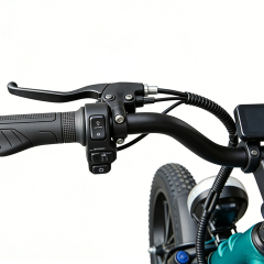 Электрический фэтбайк Greennovo ERD-B001 для городских поездок, складной велосипед с большим запасом хода 80 км.