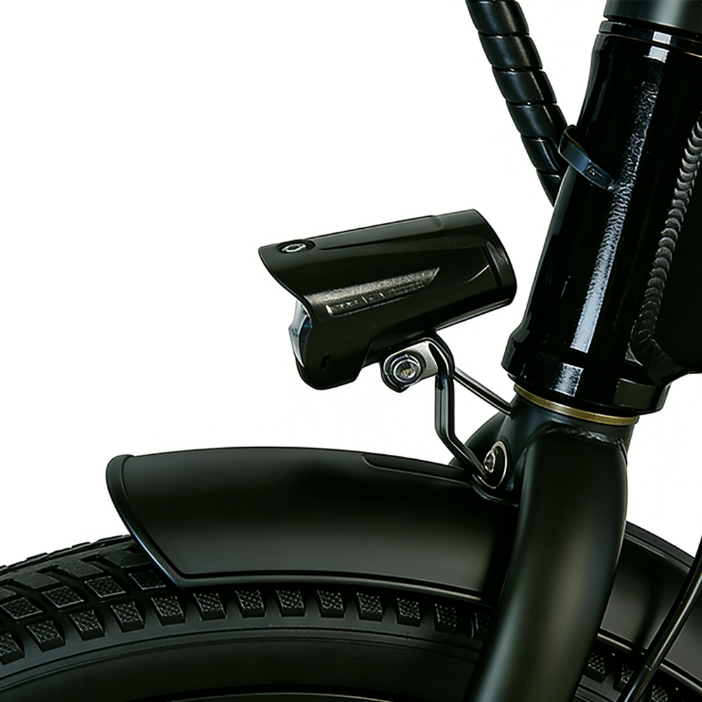 Greennovo EFD-B001 Electric folding bike portable type customized range