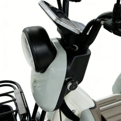 Greennovo ETR-B004 Экологичный трехколесный электроскутер, пассажирский электромобиль, электротрицикл