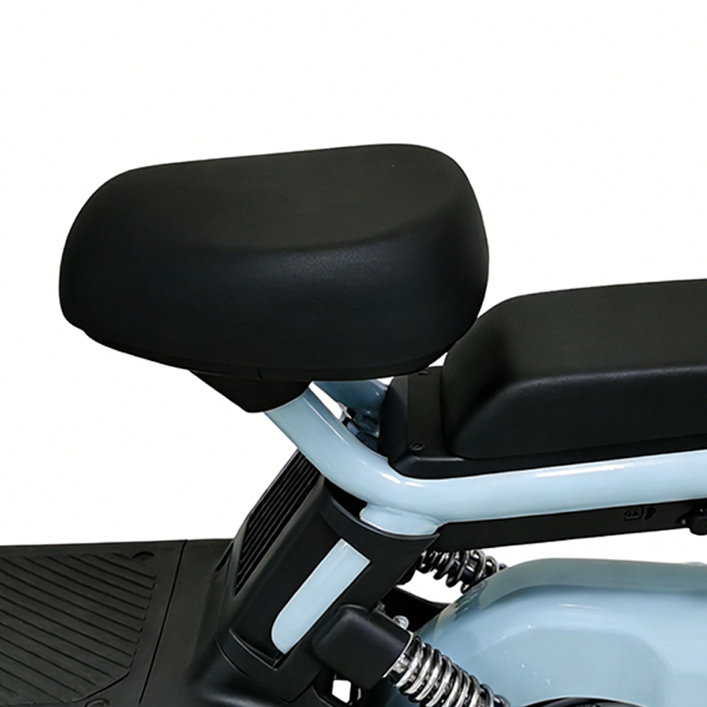 Greennovo ETW-F001 Bicicleta eléctrica urbana de dos ruedas de alta velocidad con sistema de asistencia al pedaleo para adultos.