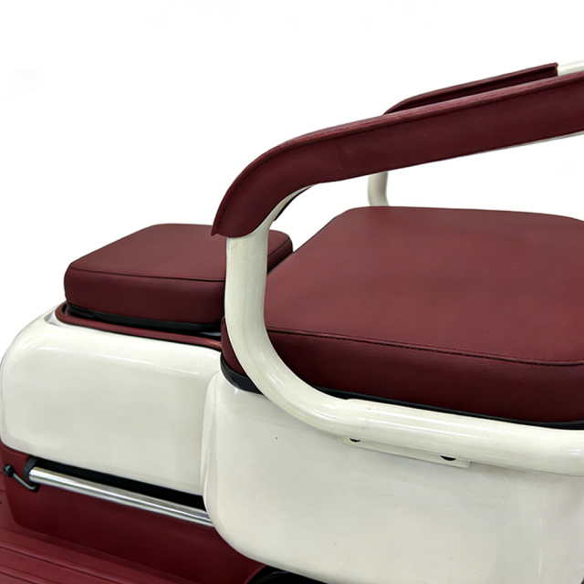 Электрический трехколесный электромотоцикл Greennovo ETR-B005, новый электроскутер с вакуумными шинами, электровелосипед для отдыха пожилых людей и взрослых.