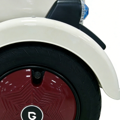 Электрический трехколесный электромотоцикл Greennovo ETR-B005, новый электроскутер с вакуумными шинами, электровелосипед для отдыха пожилых людей и взрослых.