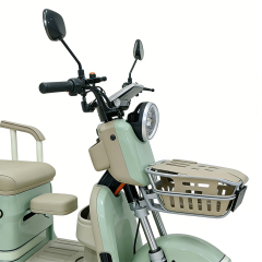 Greennovo ETR-B008 Electric three wheels Leisure Adult Electric Tricycle 3 seats Multi functional Electric Tricycle