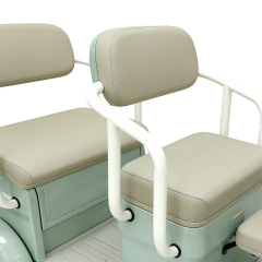 Greennovo ETR-B008 Electric three wheels Leisure Adult Electric Tricycle 3 seats Multi functional Electric Tricycle