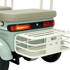 Greennovo ETR-B008 Electric three wheels Leisure Adult Electric Tricycle 3 seats Multi functional Electric Tricycle