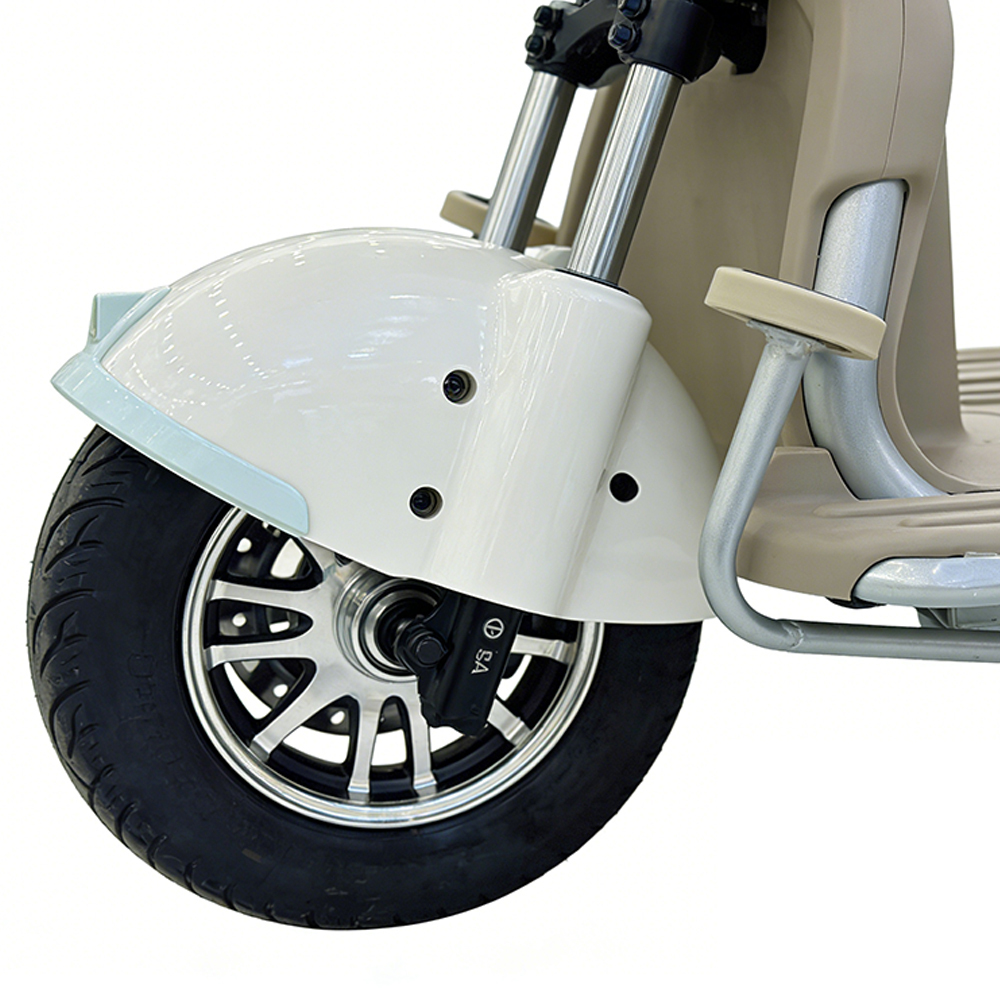 Greennovo ETR-B007 Tricycle électrique à 3 roues, moto électrique, vélo électrique, tricycle électrique de loisirs pour adultes