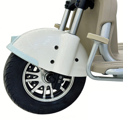 Электрический трехколесный велосипед Greennovo ETR-B007, электромотоцикл, электровелосипед для отдыха, электротрицикл для взрослых.