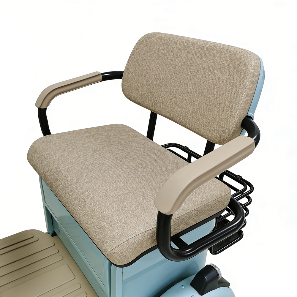 Tricycle électrique Greennovo ETR-B009 pour adultes, véhicule électrique à 3 roues, tricycle pour 2 personnes