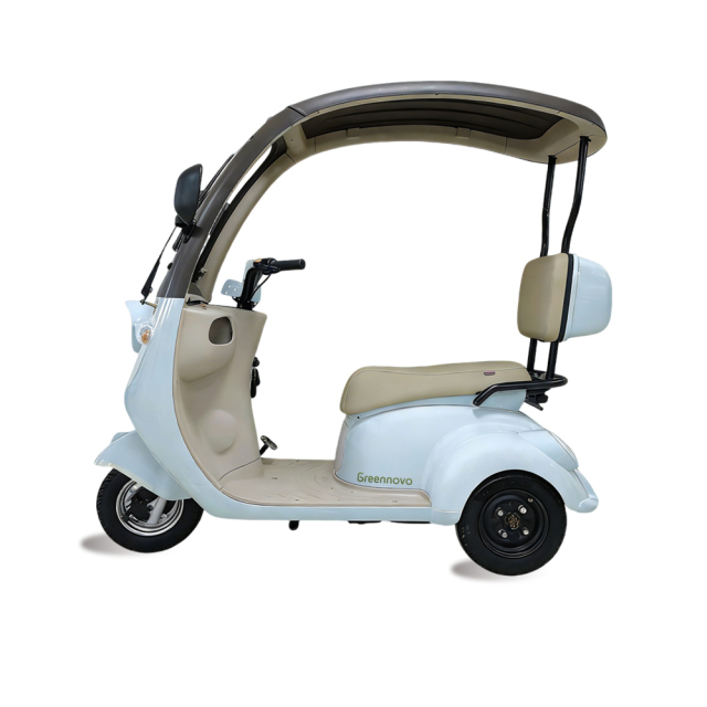 Электрический трехколесный электрорикша Greennovo ETR-B011, электроскутер с удобными сиденьями на 3 человека.