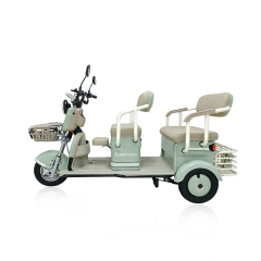 Greennovo ETR-B008 Electric three wheels Leisure Adult Electric Tricycle 3 seats Multi functional Electric Tricycle