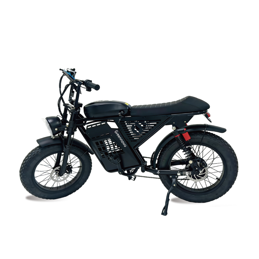 Bicicleta eléctrica urbana Greennovo ESM-V002 de largo alcance (100 km), con certificado UL.