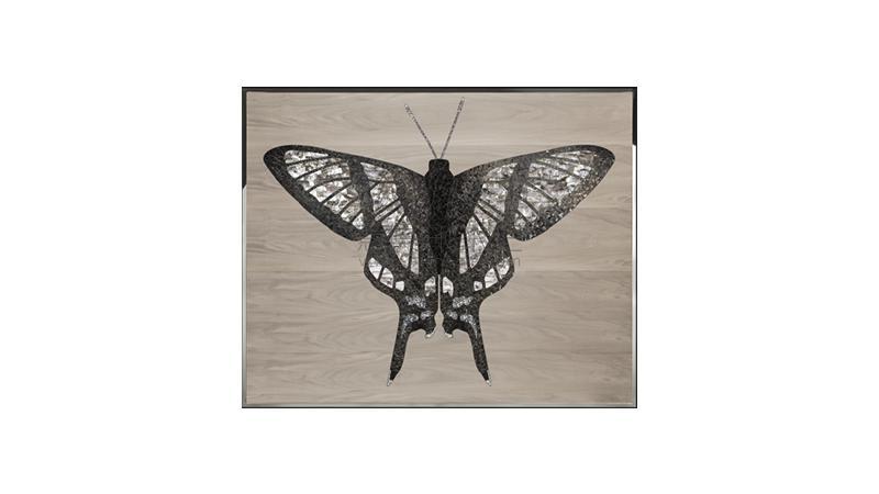 Danaus艺术画