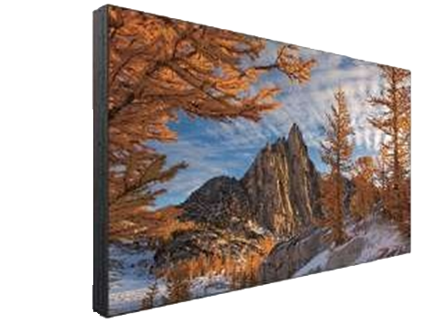 43.0-inch Ultra-Narrow Bezel Display Model: ZL430AAH01-V01