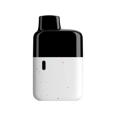 PEBBLE