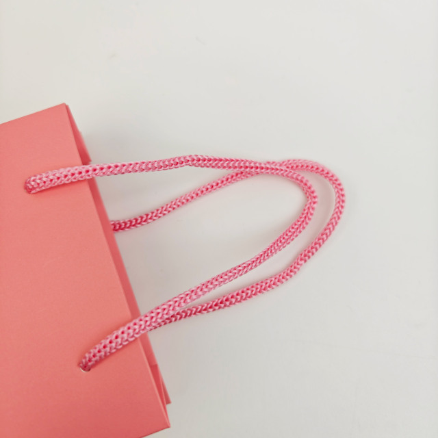 Custom Logo Ribbon Handle Paper Bags Luxury Gift & Shopping Bags for Clothing Retail & Boutiques