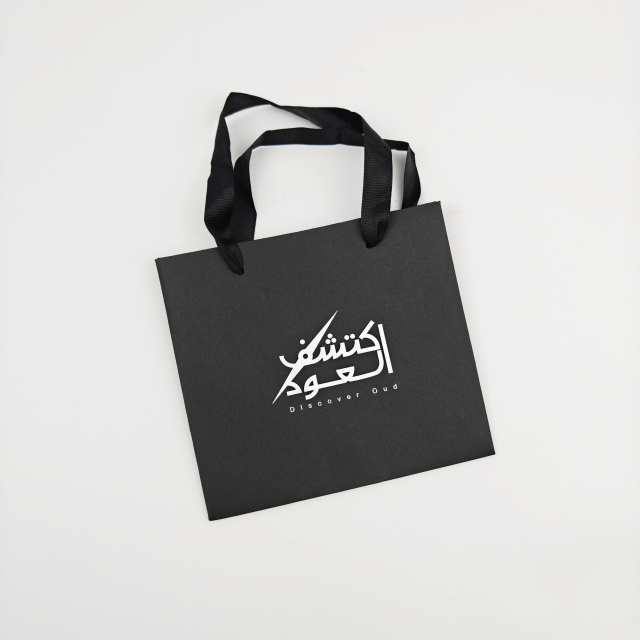 Custom Eco-Friendly Silver Logo Luxury Gift Bag with Ribbon For Cosmetics & Jewelry