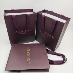 Custom Logo Printed Luxury Art Paper Gift & Shopping Bags for Clothing Underwear & Jewelry