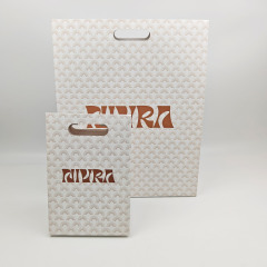 Custom Logo Thick Coated Paper Bags with Handles Premium Luxury Retail Shopping Bags
