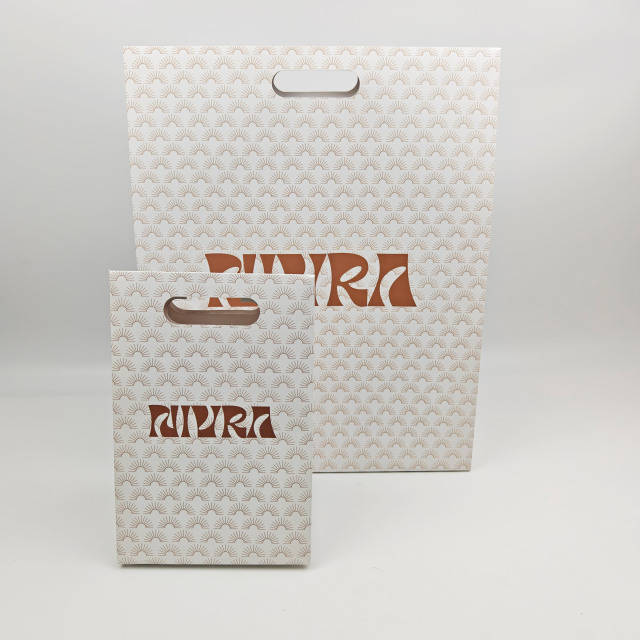 Custom Logo Thick Coated Paper Bags with Handles Premium Luxury Retail Shopping Bags