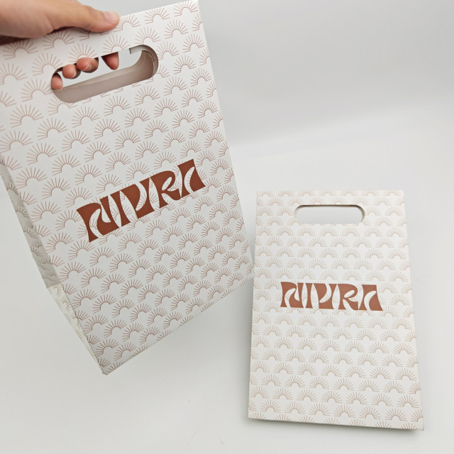 Custom Logo Thick Coated Paper Bags with Handles Premium Luxury Retail Shopping Bags