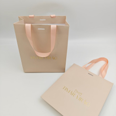 Custom Pink Luxury Paper Bag 250gsm Art Paper with Rope Handle for Jewelry Cosmetic Gift & Clothing Retail Packaging