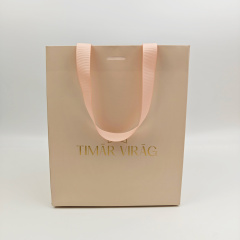 Custom Pink Luxury Paper Bag 250gsm Art Paper with Rope Handle for Jewelry Cosmetic Gift & Clothing Retail Packaging
