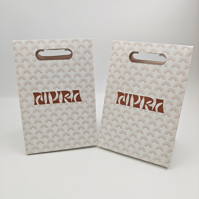 Custom Logo Thick Coated Paper Bags with Handles Premium Luxury Retail Shopping Bags