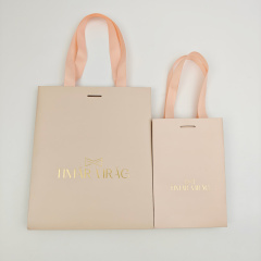 Custom Pink Luxury Paper Bag 250gsm Art Paper with Rope Handle for Jewelry Cosmetic Gift & Clothing Retail Packaging
