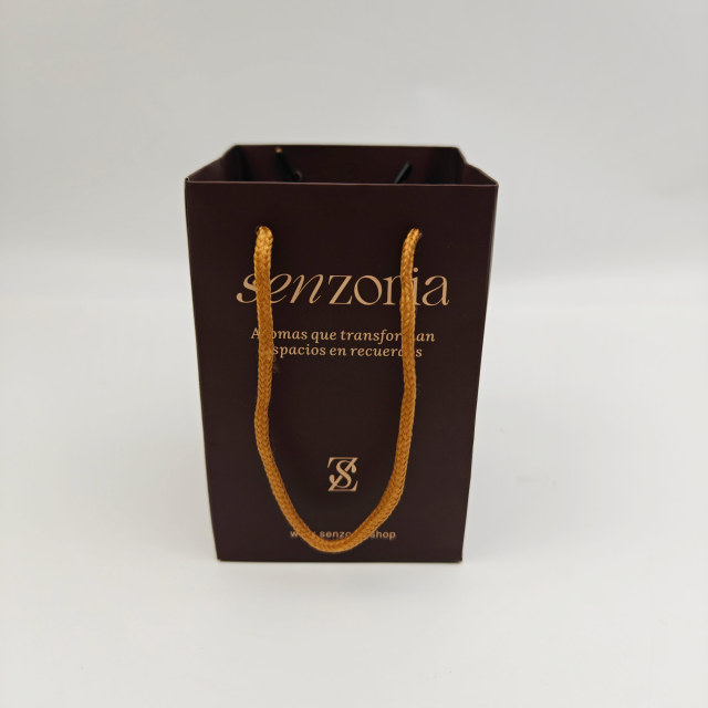 Recycled Paperboard Gift Bags with Custom Print for Apparel & Footwear