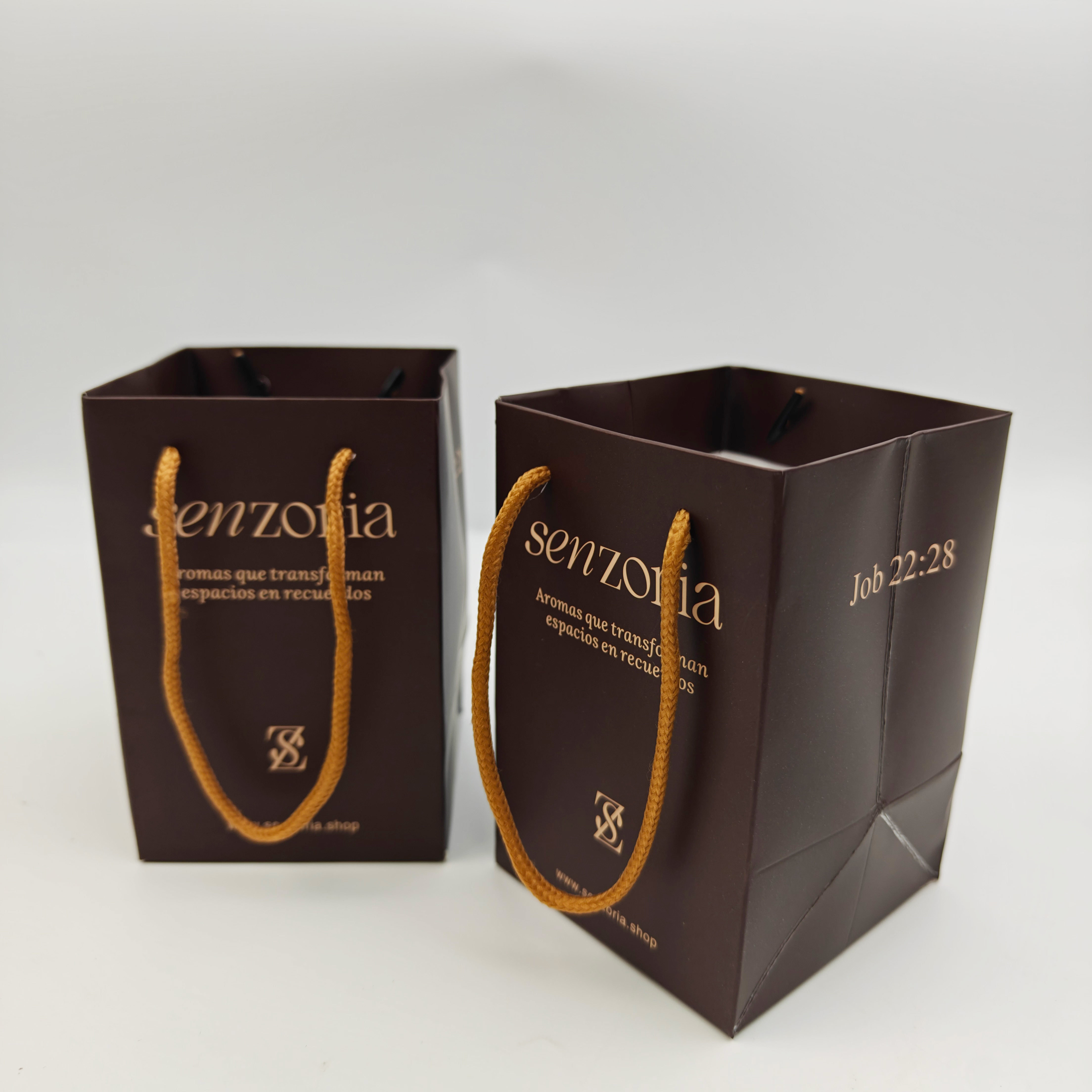Recycled Paperboard Gift Bags with Custom Print for Apparel & Footwear