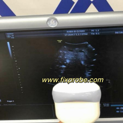 RAB4-8-D Curved Probe Repair and sale