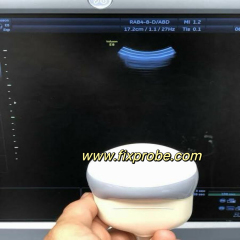 RAB4-8-D Curved Probe Repair and sale