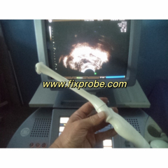 GE IC5-9H Endocavity Array Ultrasound Probe Repair and sale