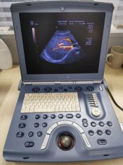 GE RAB4-8-RS 3D/4D Curved Array Probe Sale and Repair