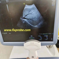 GE 3SC-RS Sector Probe Sale and Repair